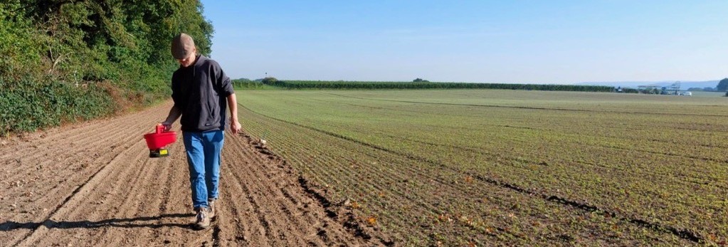 Experimenteren met meerjarige kruidenrijke akkerranden